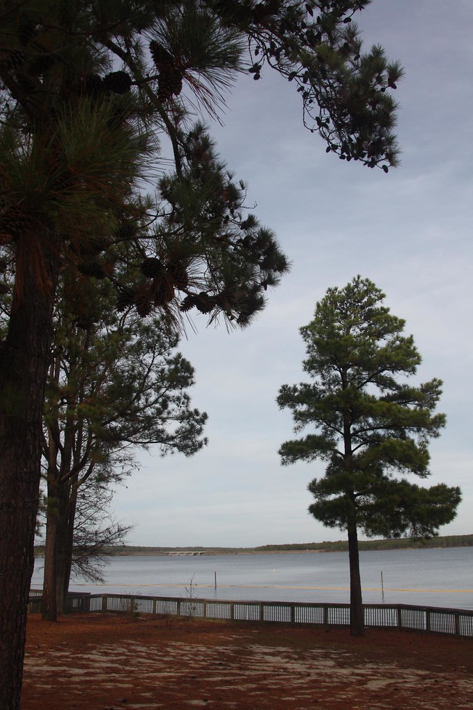 NC Chatham County Seaforth Recreation Area at Jordan L… Flickr