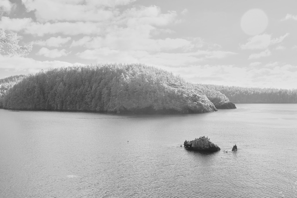 Bowman Bay, Washington Was hiking Rosario Beach trail to D… Flickr