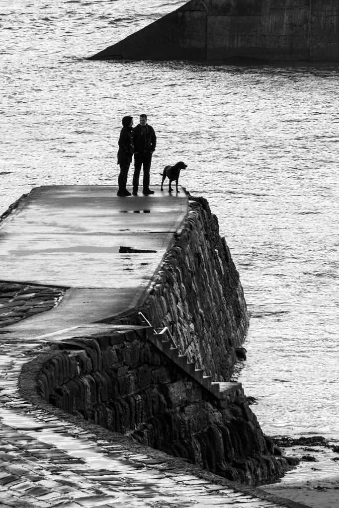 Dog walkers at Cullercoats Kevin Allan Flickr