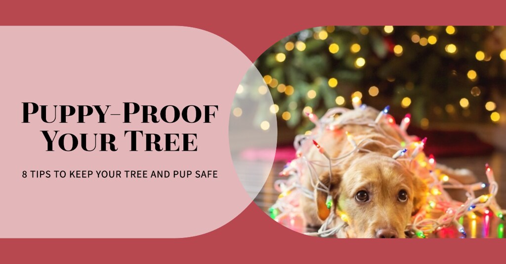 8 Tips to DogProof your Christmas Tree (and TreeProof yo… Flickr