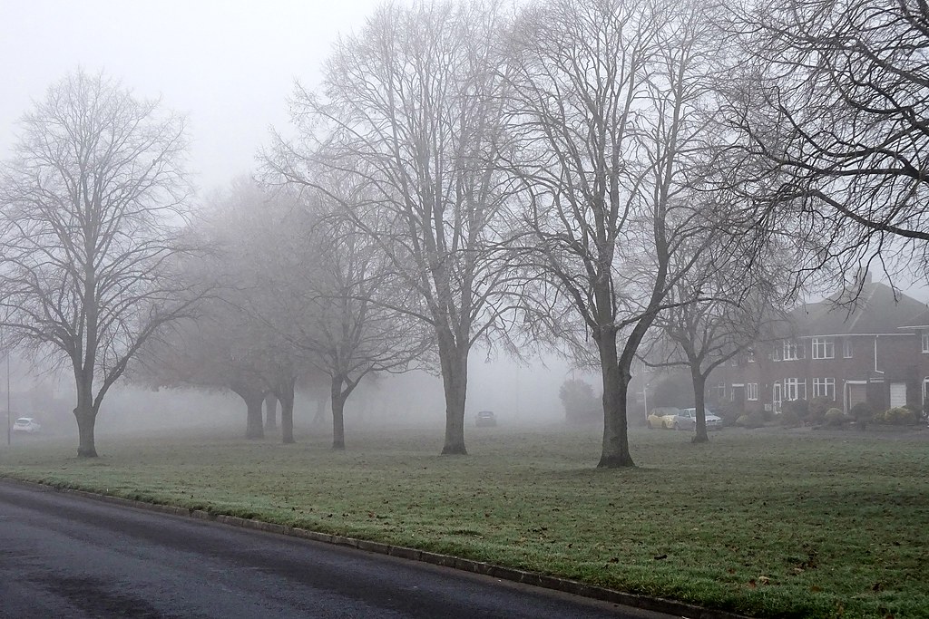 RugbyShakespeare Gardens Freezing Fog (1c) Saxon Sky Flickr