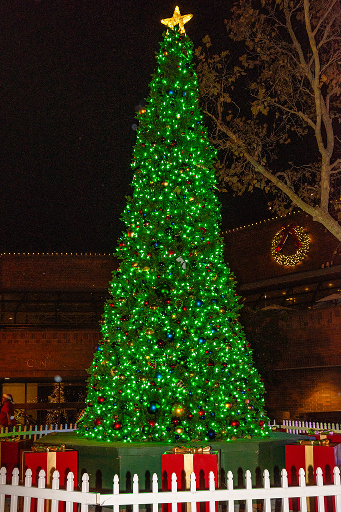 Christmas Tree Lighting at Lakewood City Hall December 1, … Flickr