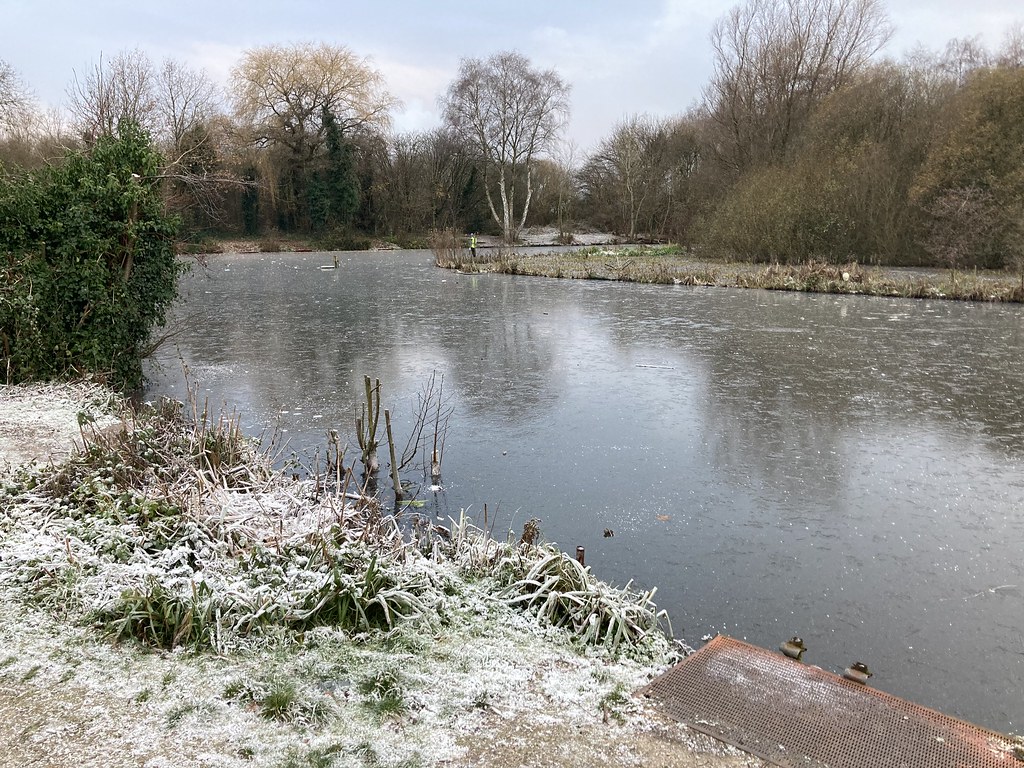 Dutton's Pond, Wellacre Country Park, Flixton Anthony Shaw Flickr
