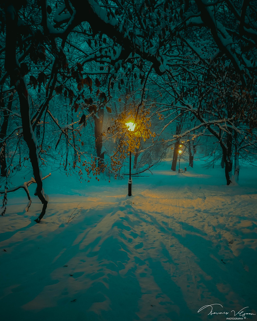 Winter Walk Winter Walk Theunis Viljoen LRPS Flickr