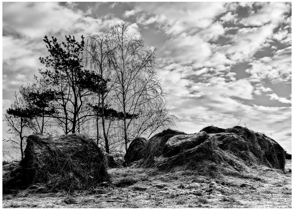 Frosty landscape County Park with a covering of frost Richard March