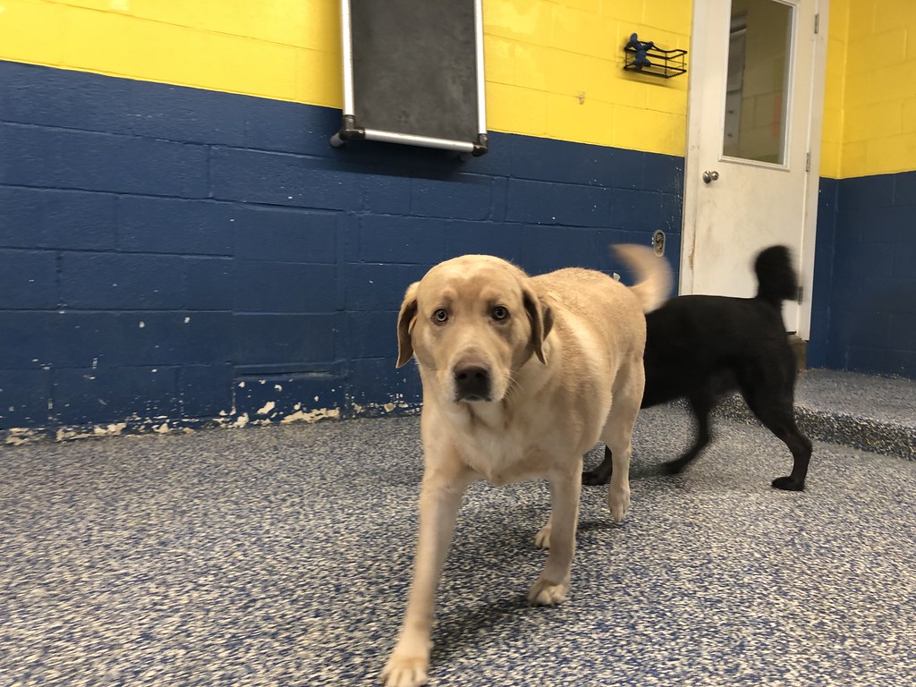 Untitled Greenlin West Flickr