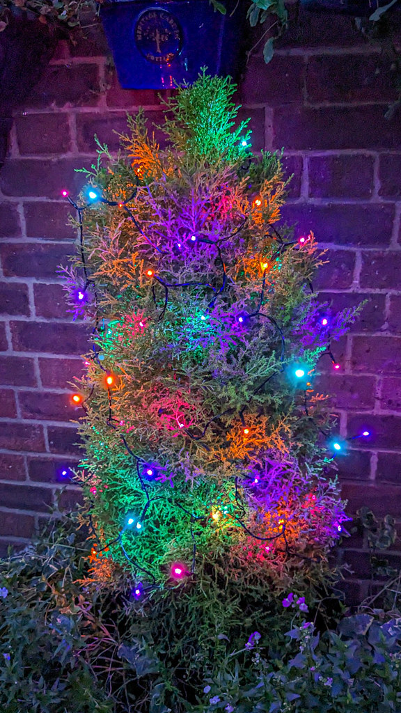 Garden Christmas lights (20231201 1621) Christmas lights o… Flickr