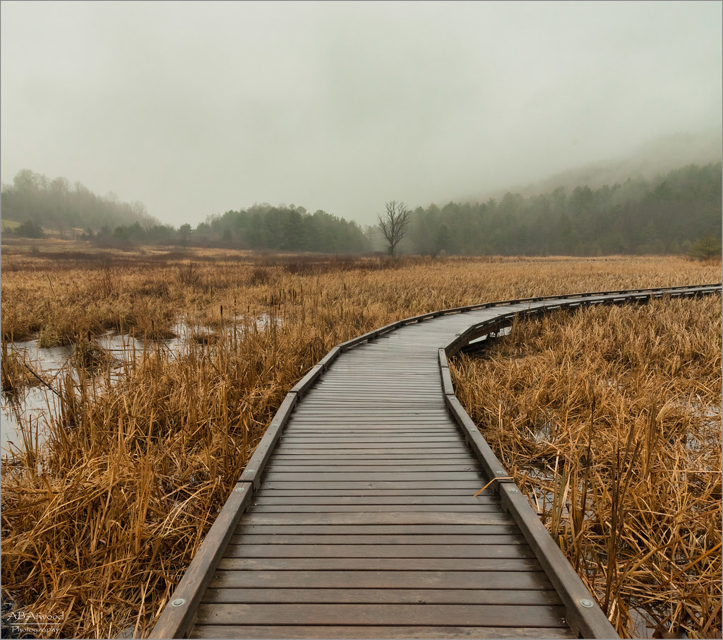 Monkton Vt Raven Ridge 20231202 003s Alan Atwood Flickr