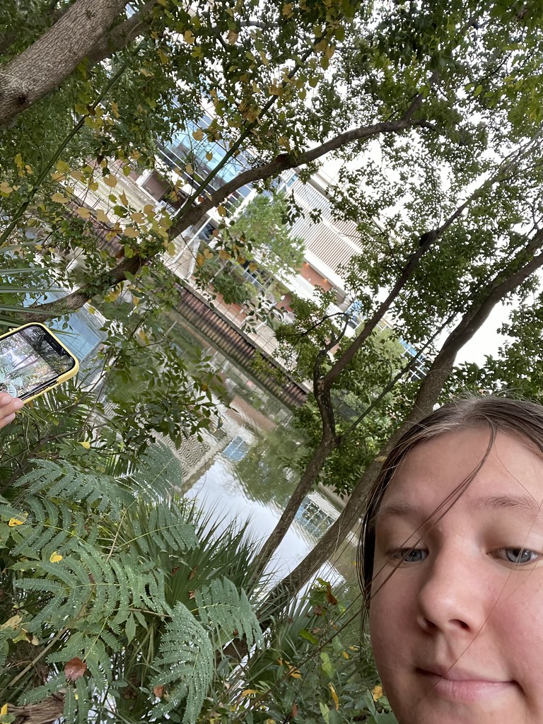 julibrissin selfie Fabaceae, silk tree, invasive Flickr