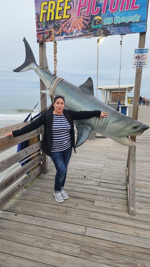 20231202_161937 Michael Donahue Flickr