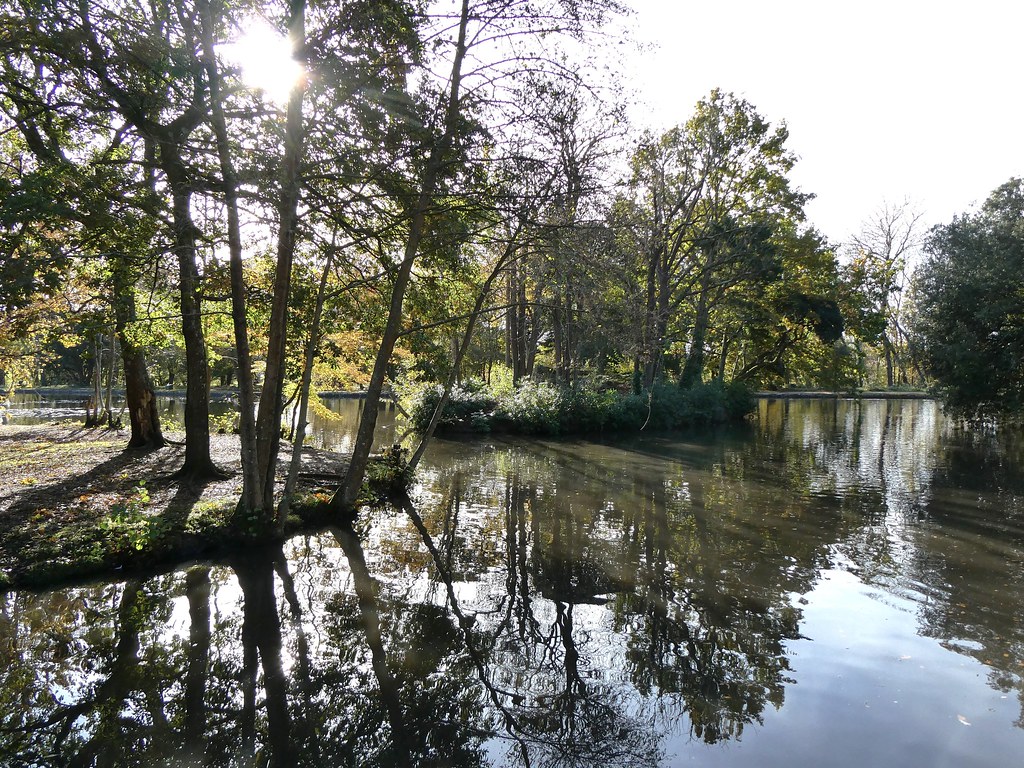 The lake, Staunton Park Staunton Park has a 3.5 acre lake … Flickr