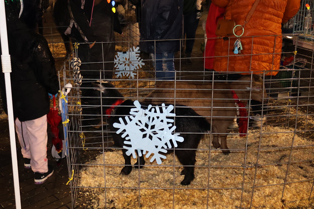 IMG_3469 Borough of Glassboro, New Jersey Flickr