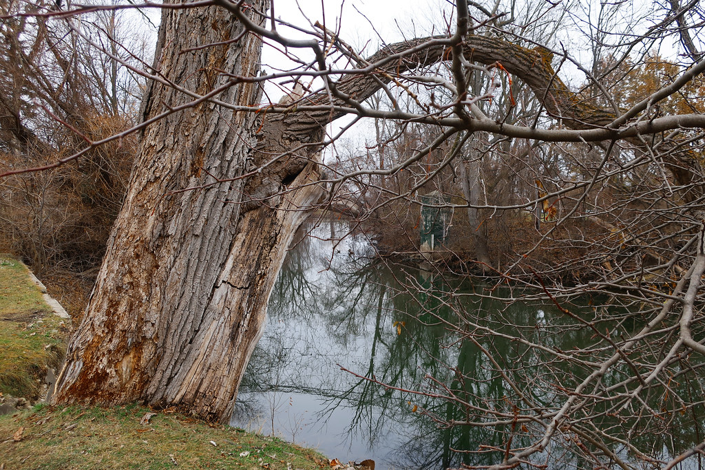 Pine River Looking North East Alma, Michigan The Pine Ri… Flickr