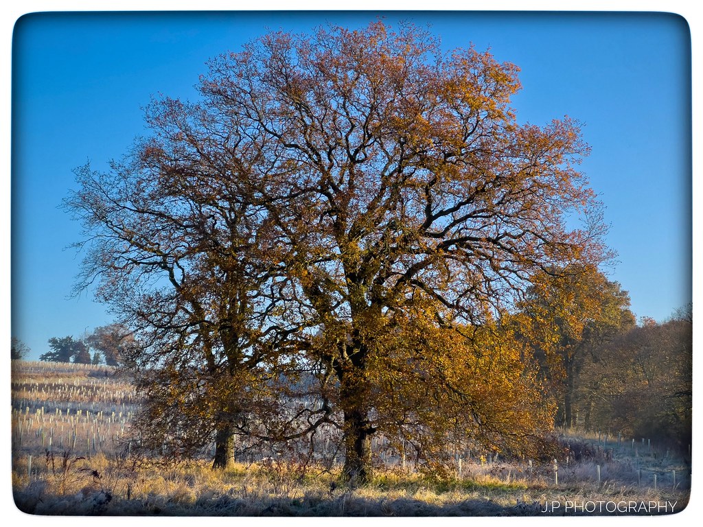 Todays walk along The London Loop from The Ridgeway to Fer… Flickr