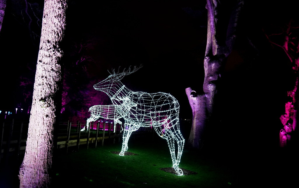 Christmas at Wollaton Hall alan metheringham Flickr