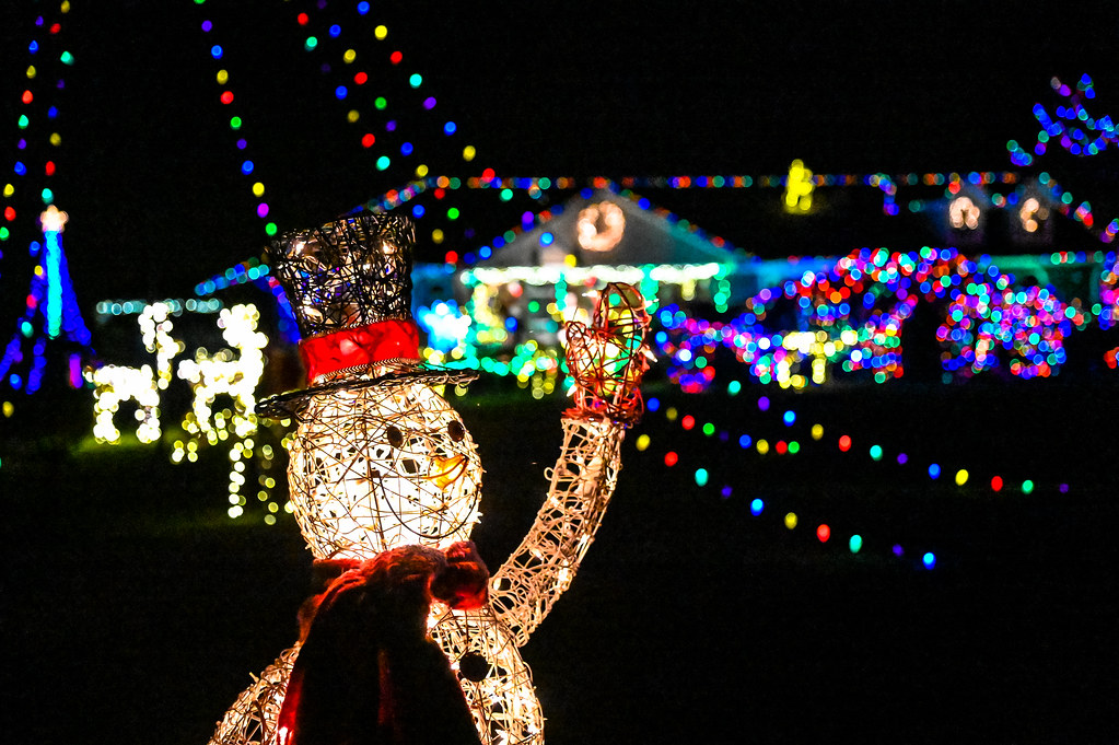 DSC_6206 Carmela & Alan Hangsleben Christmas Light Show Angel Beil