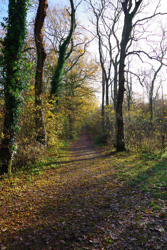 South from Dead Man's Hill Bower St Snapper Flickr