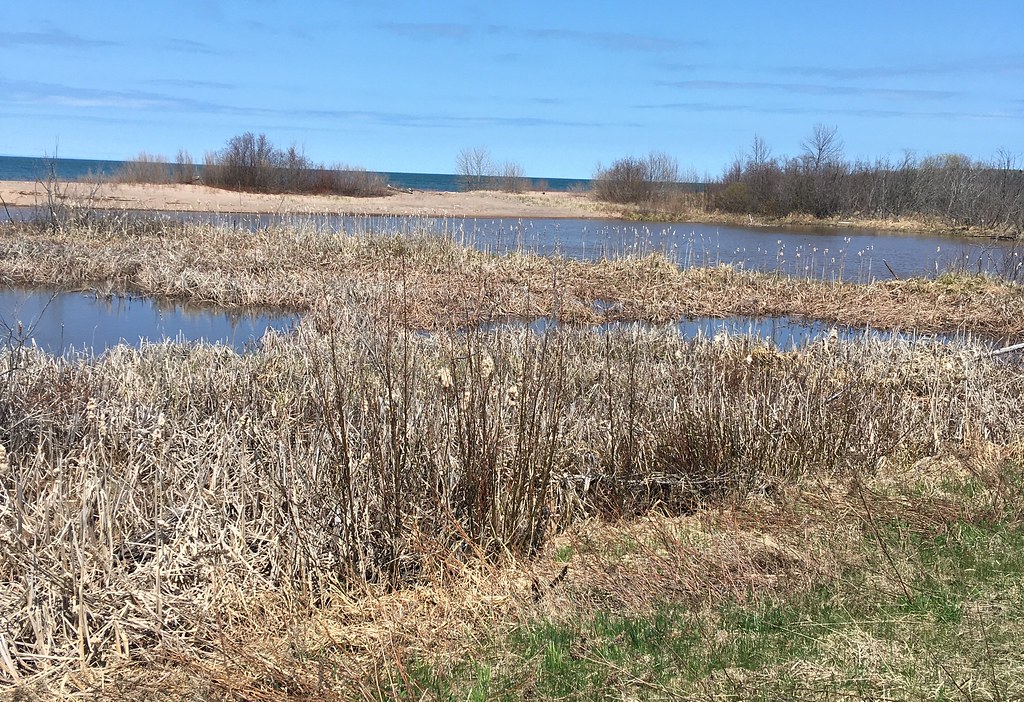 IMG_9704 Views of Lake Superior east of Port Wing Wisconsi… ANR2008 Flickr