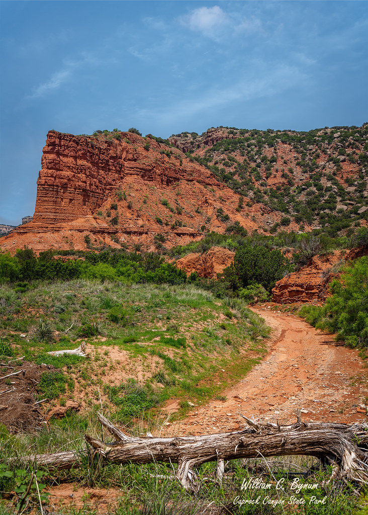 Caprock Canyon Bill Bynum Flickr