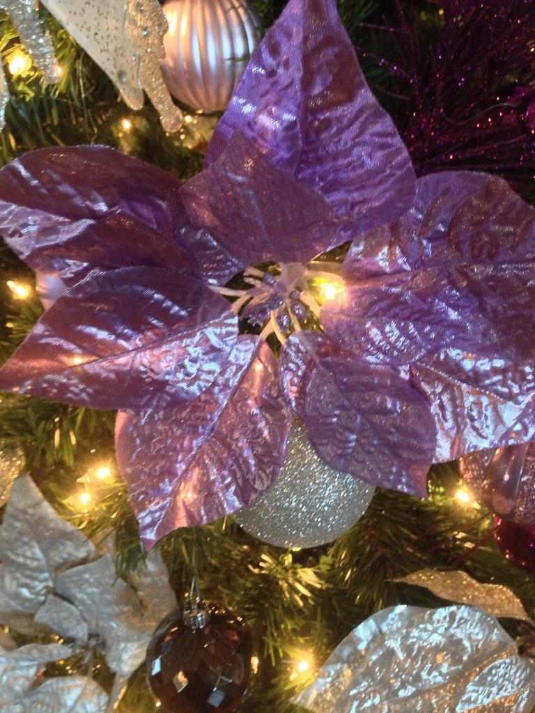 NC Asheboro Christmas Tree scott185 (the original) Flickr