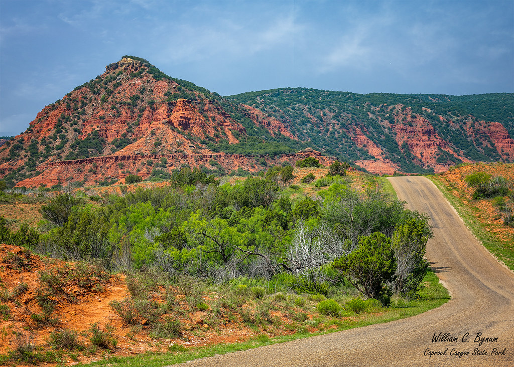 Caprock Canyon Bill Bynum Flickr