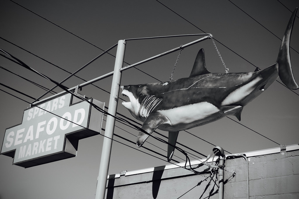 Spears Seafood Market Tallahassee, Florida. Flickr