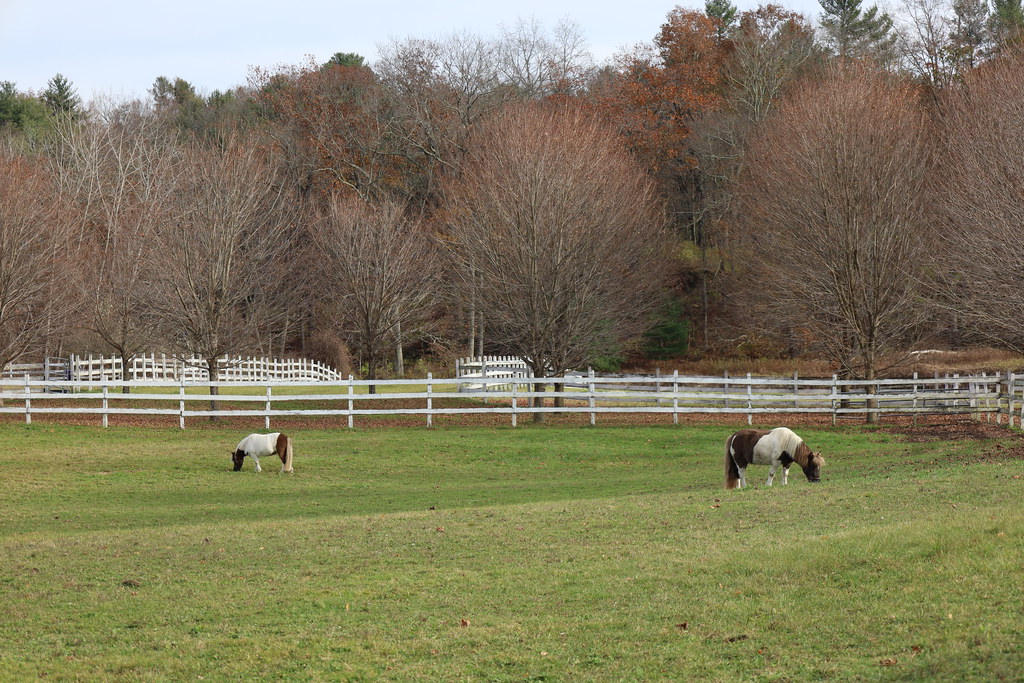 Clarion Farm HFF John Hart Flickr