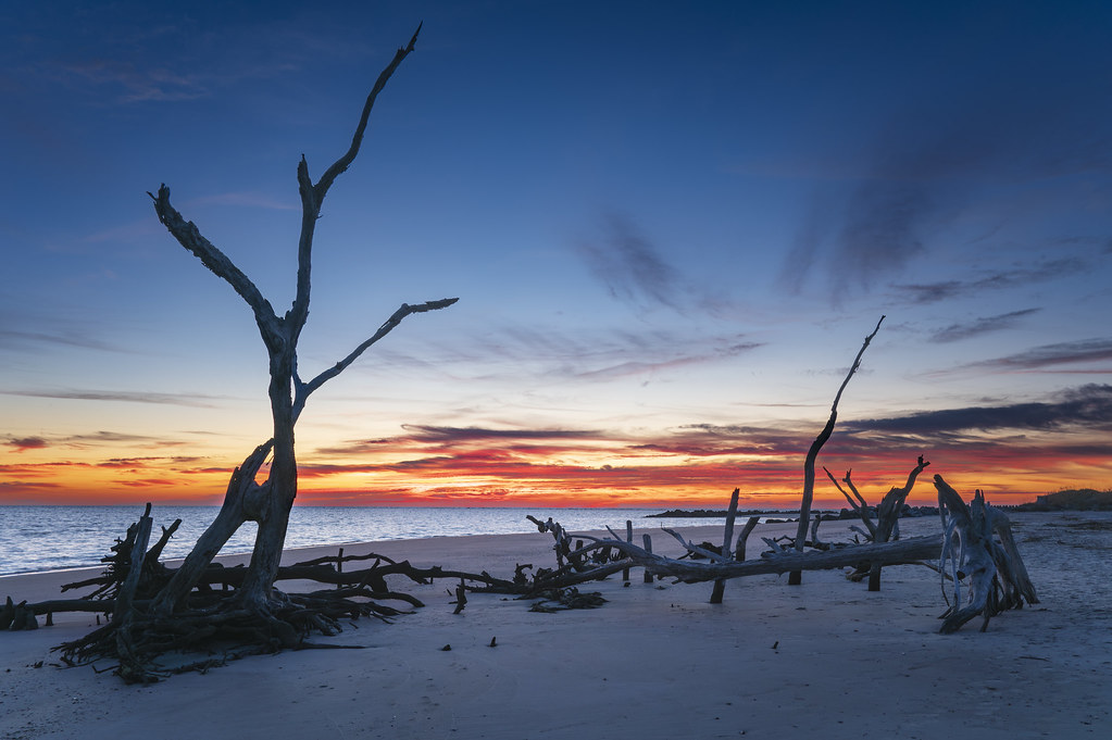 Driftwood Sunrise Sunrise on Folly Beach, South Carolina Stephen