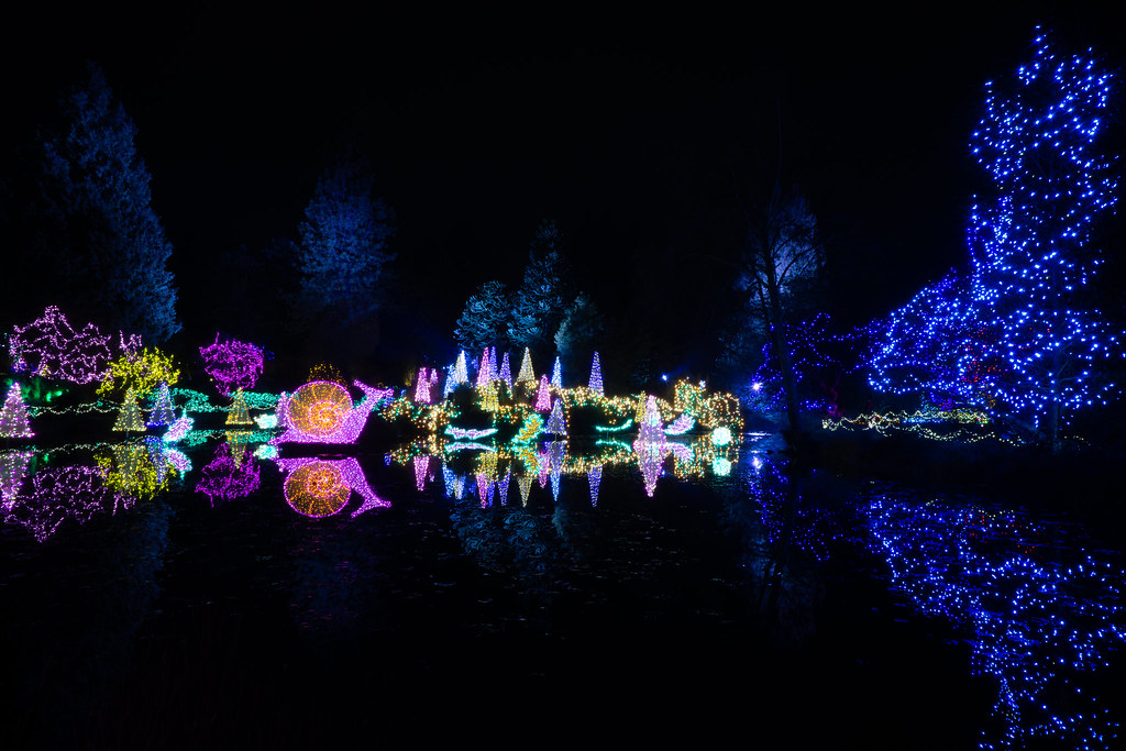 Christmas lights Bryce Downey Flickr