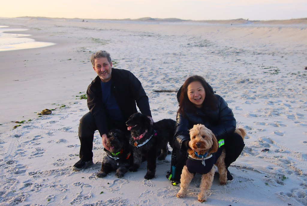 Point Lookout Beach Terry Ballard Flickr