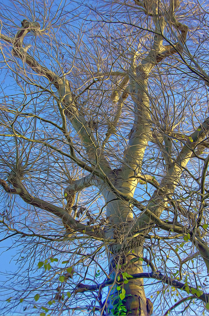 Ready for Winter Wharf Road Cemetery. StanfordleHope. Es… Bill