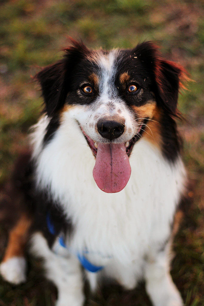 Rambo Clarisse .T Flickr