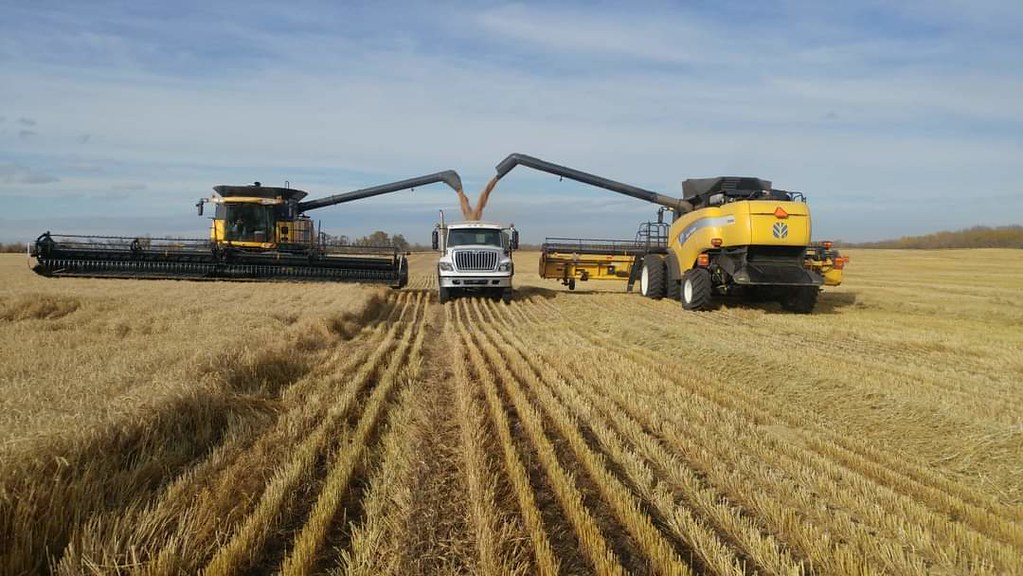Harvest season Harvest season in Canada david steve wiens Flickr