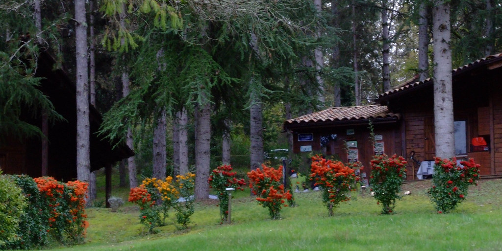 DSCF3581 jacques Flickr