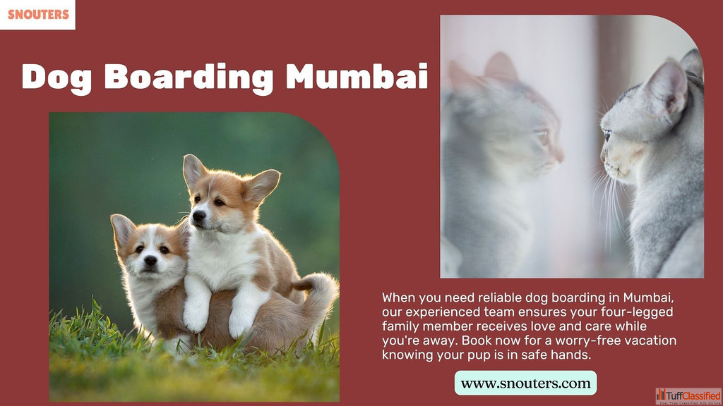 Premier Dog Boarding Services in Mumbai for a Pawsitively … Flickr