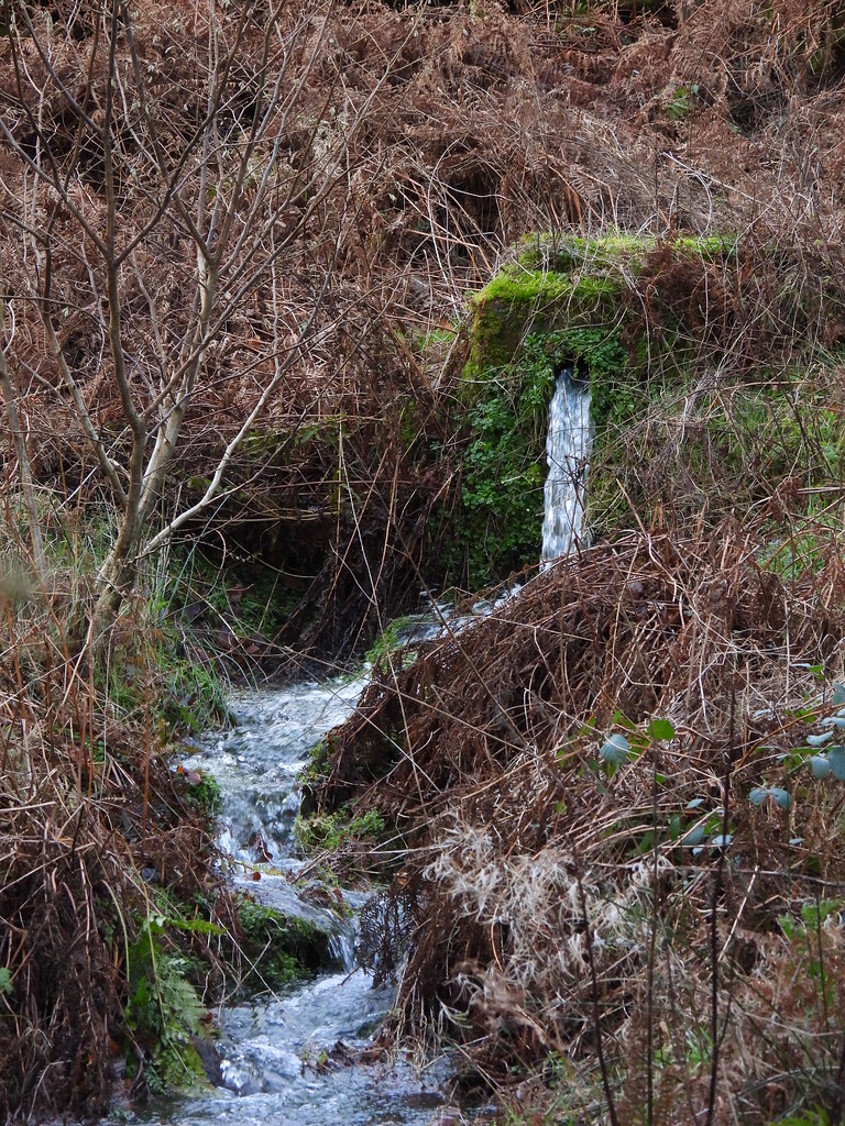 Reentrant Spring, Blaen Bran, Upper Cwmbran 13 December 20… Flickr