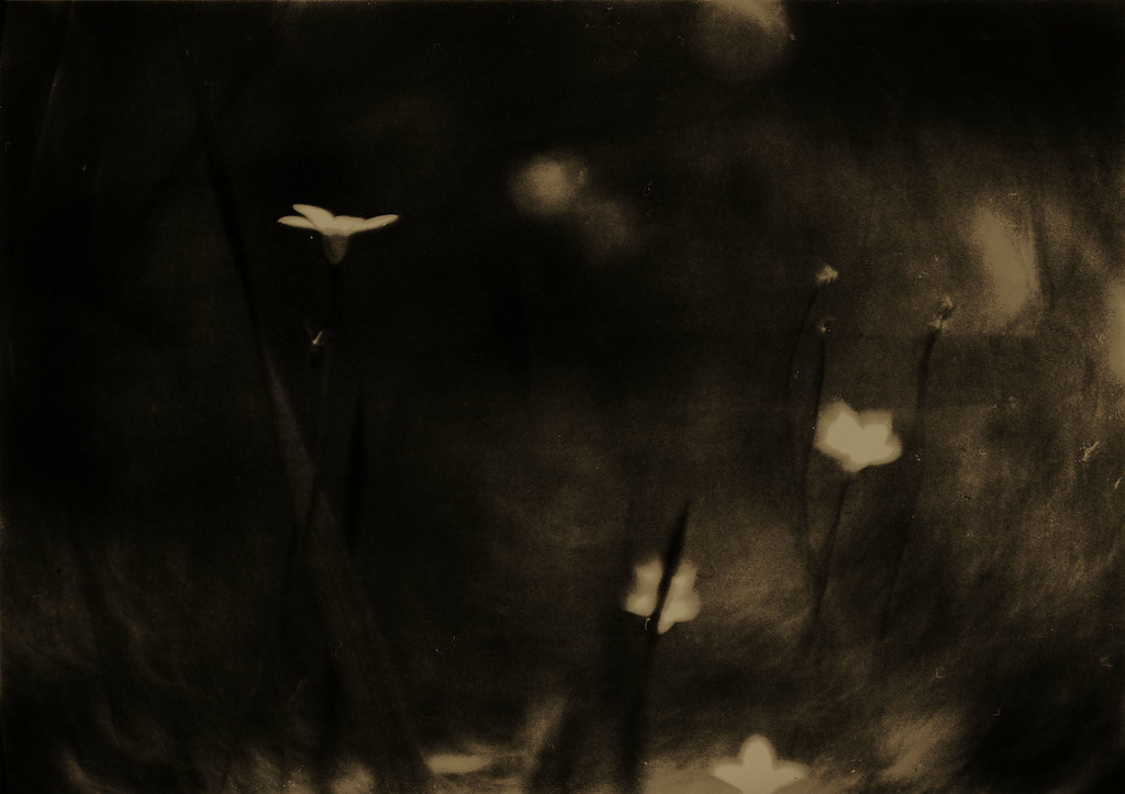 Distant noises of other voices. Darkroom print on Foma FB … Flickr