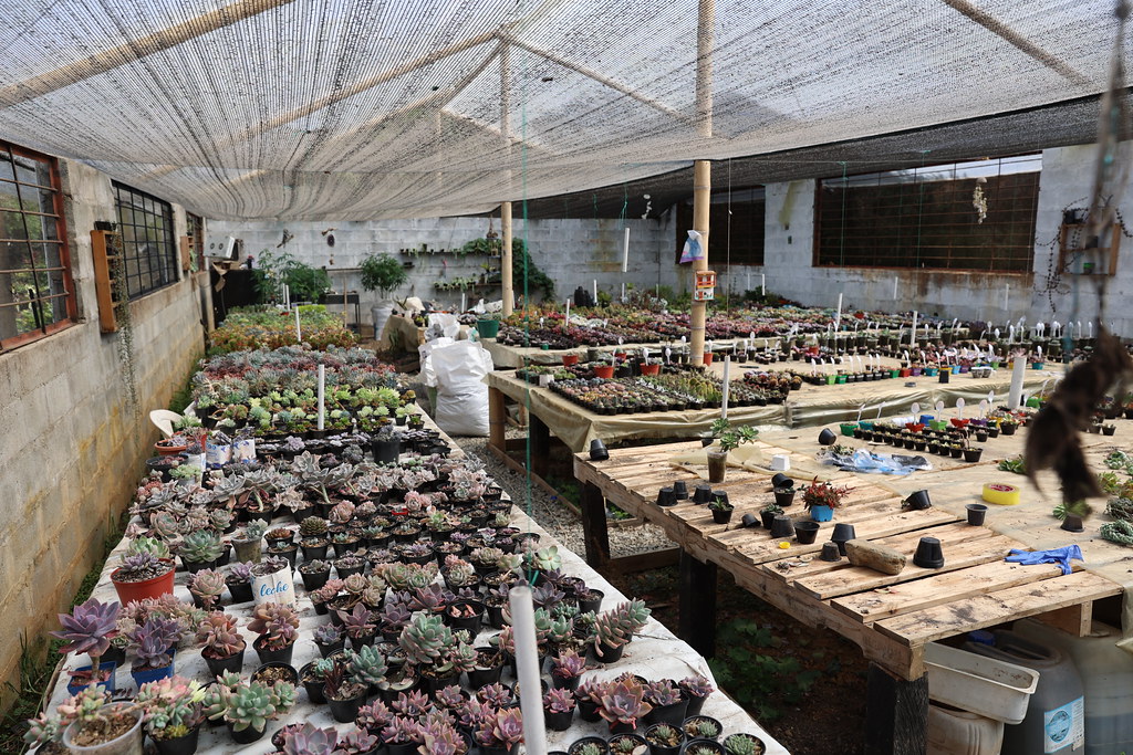 GV2A2317 Loma Linda Flower Farm, Santa Elena, Antioquia, C… Flickr