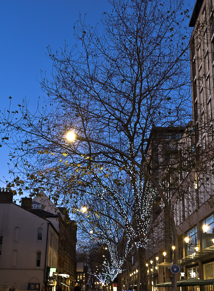 Christmas 202315 U3A Christmas Photoshoot, Christmas Light… Flickr