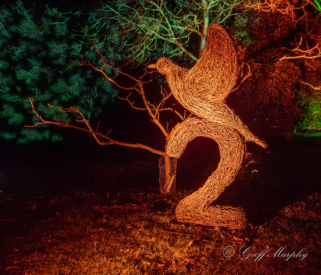 12 Days Of Christmas Wimpole Christmas Lights 2023 Geoff Murphy