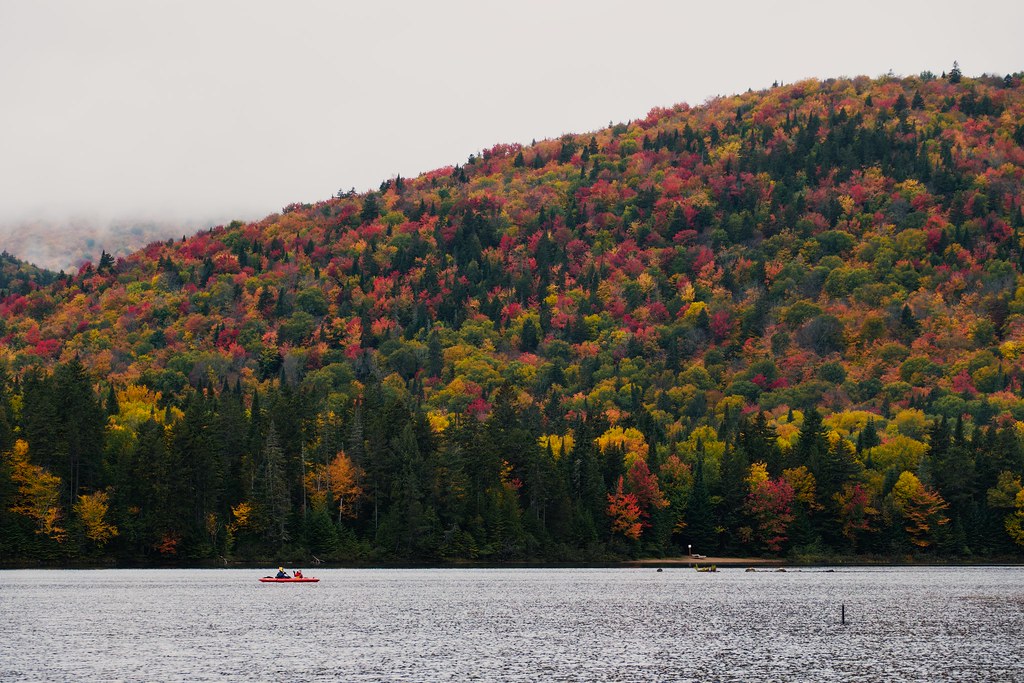 DSC03604 Allen Yan Flickr