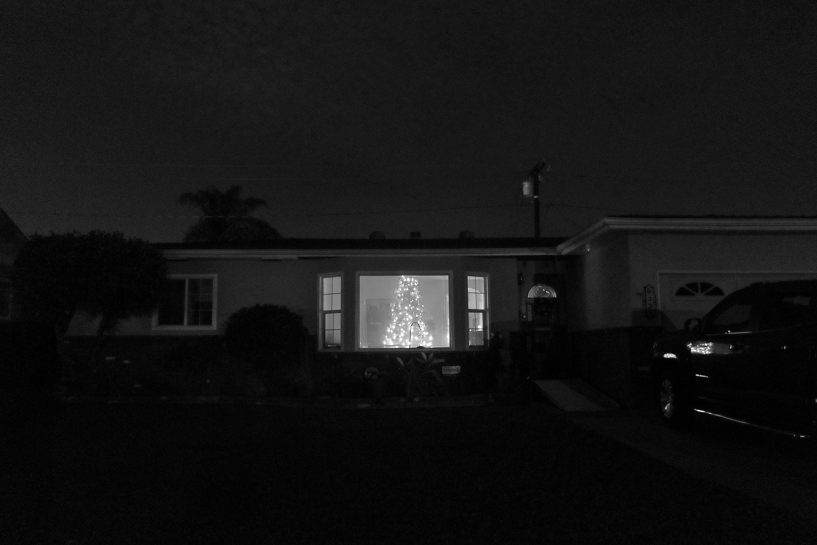 Christmas in B&W Page 7 Rangefinderforum