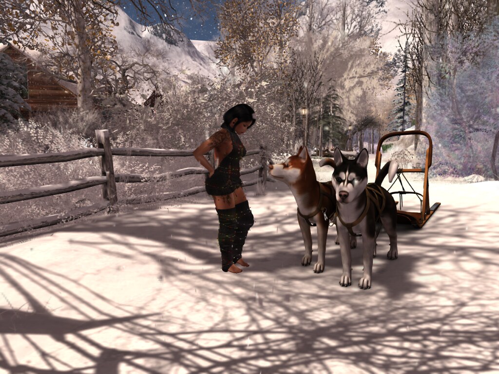 Xmas11 Riley Aurelia Flickr