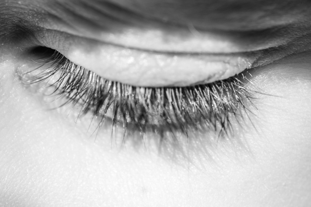 DSC_8805.jpg David CT O'Connor Flickr