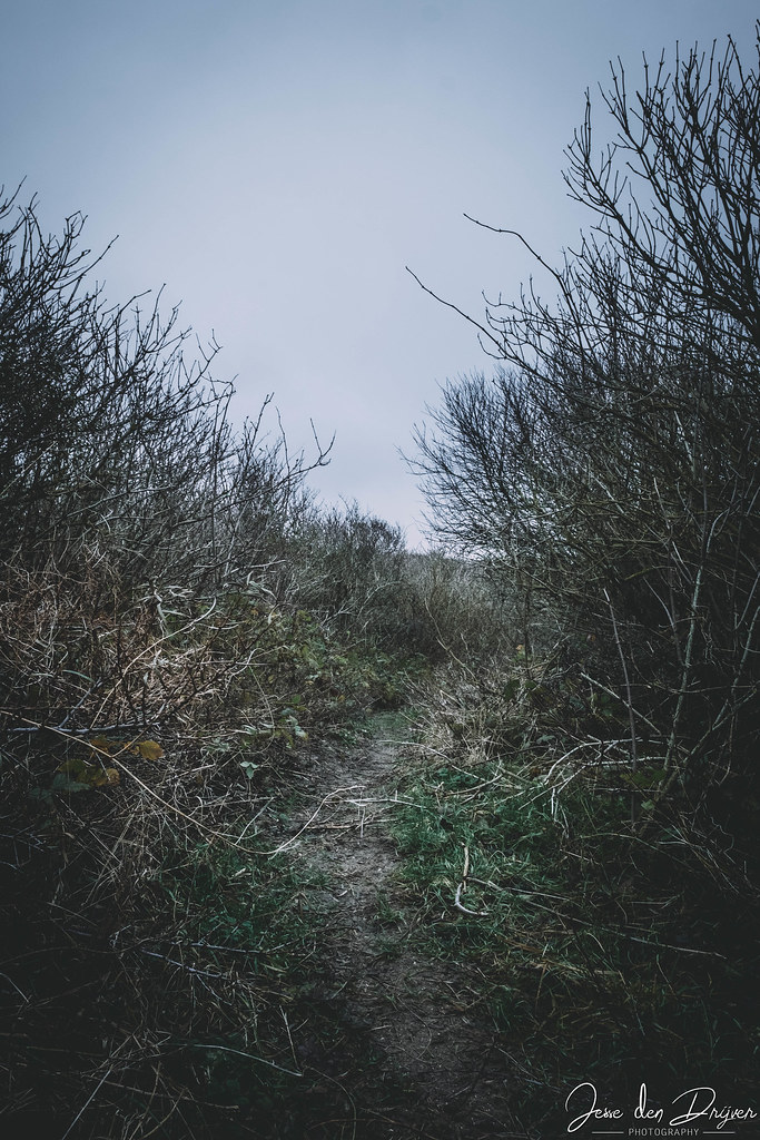 DSCF2252 Jesse den Drijver Flickr