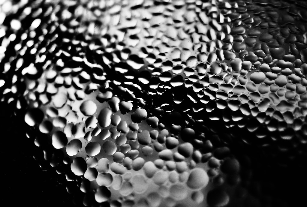 Untitled Catherine Silks Flickr