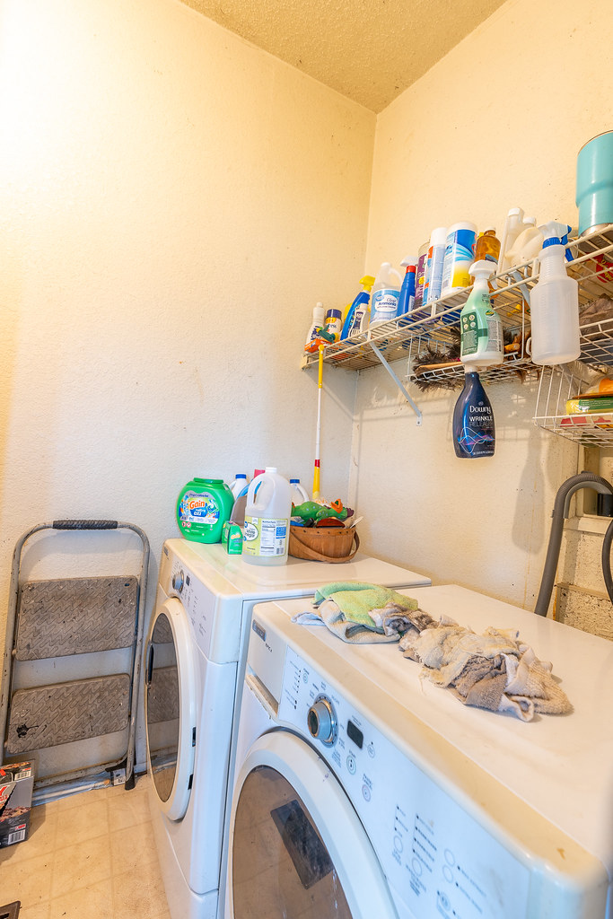 _DSC4041 April Curry Flickr