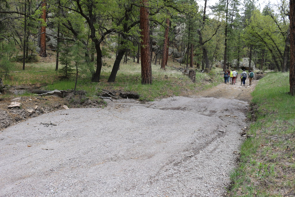 Bear Trap Canyon, Magdalena RD Cibola National Forest and … Flickr