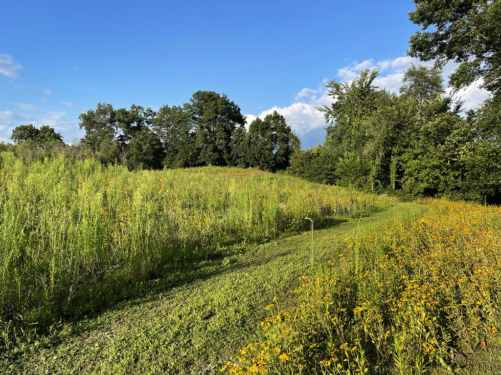 IMG_2258a1 John Blair Flickr