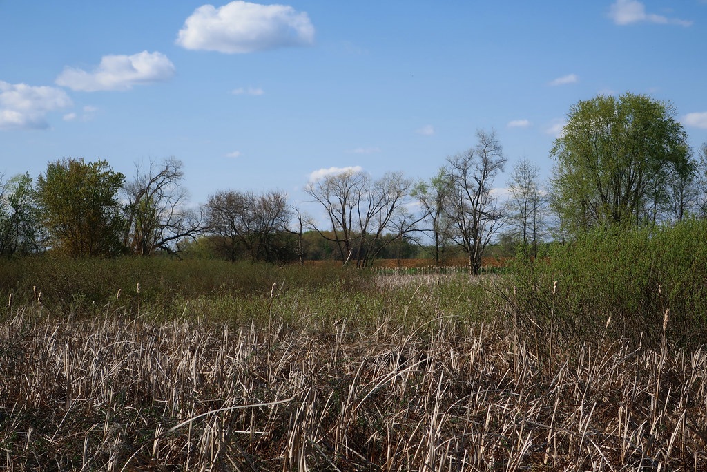 Oak Island Etna Green, Indiana 1coffeelady Flickr